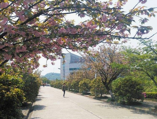 重庆益民技工学校在哪里、学校地址